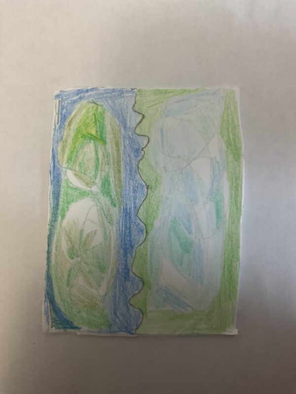 “ls it blue or is it green?” Notebook