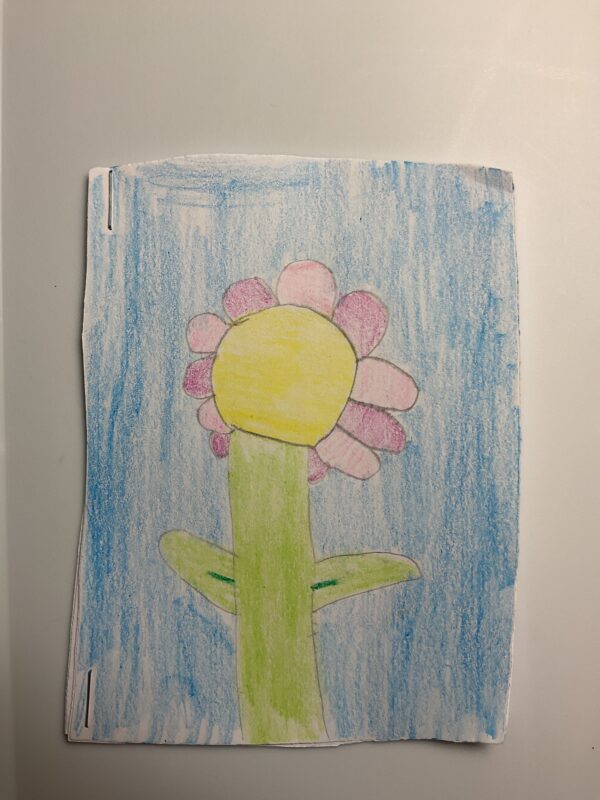 "Don't pick this one!" Notebook